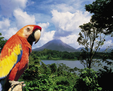 relocation to costa rica